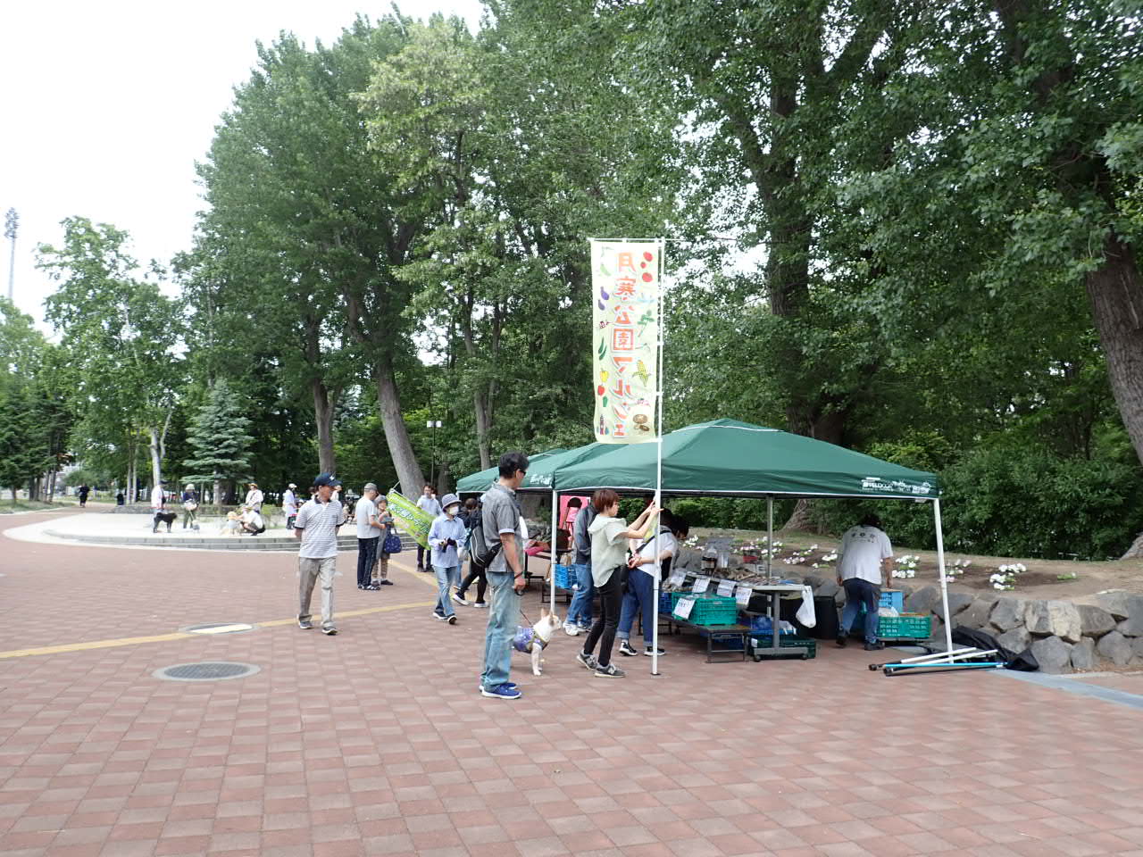 6月の様子