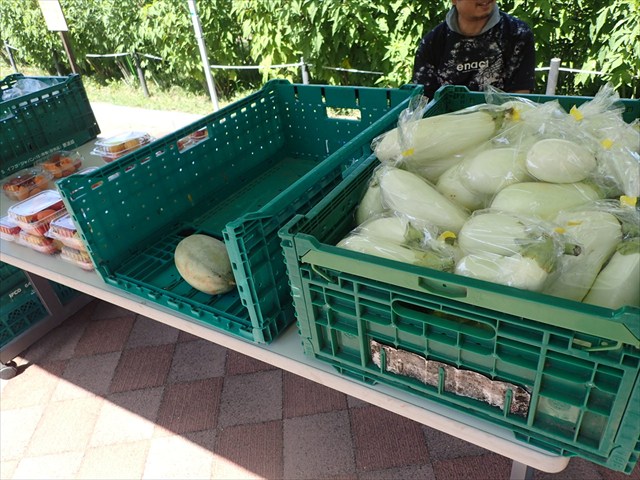 高橋ファーム