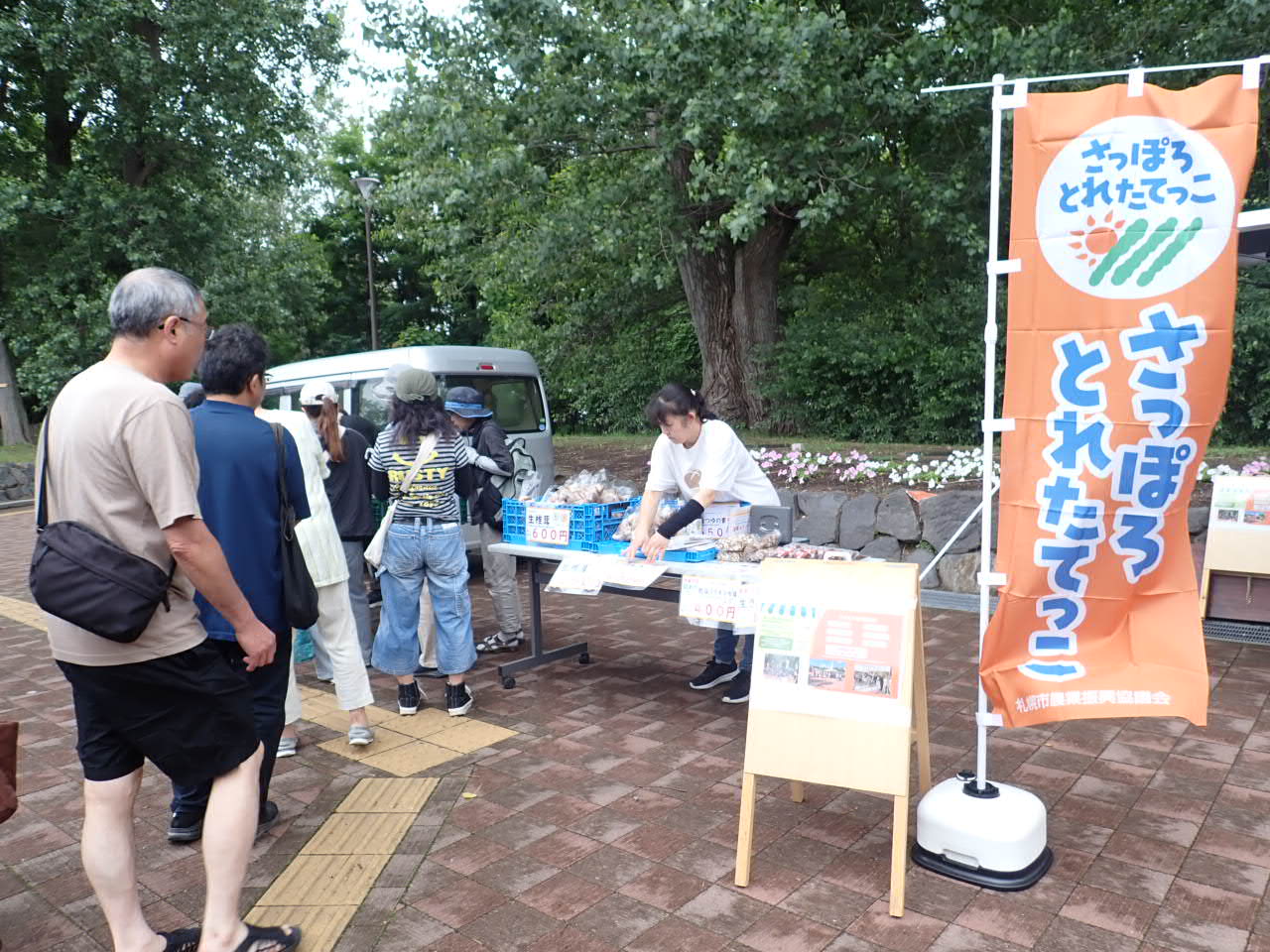 7月の販売