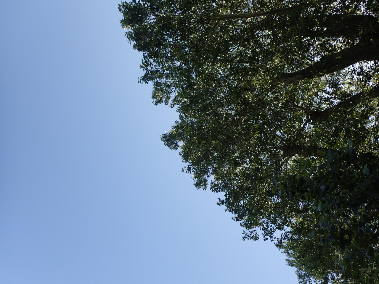 7月のビギナーの空