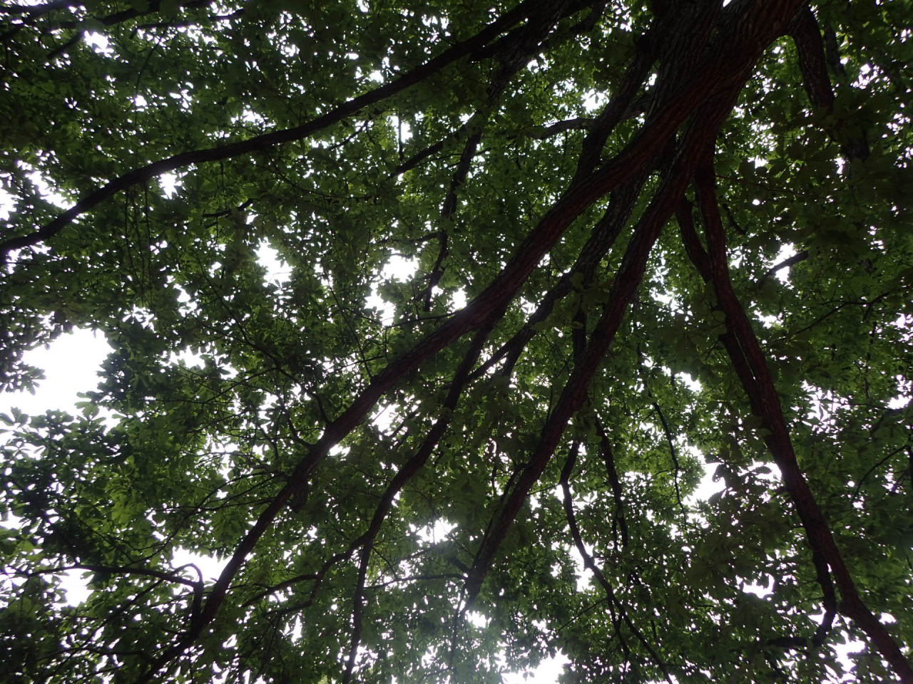 9月19日の空