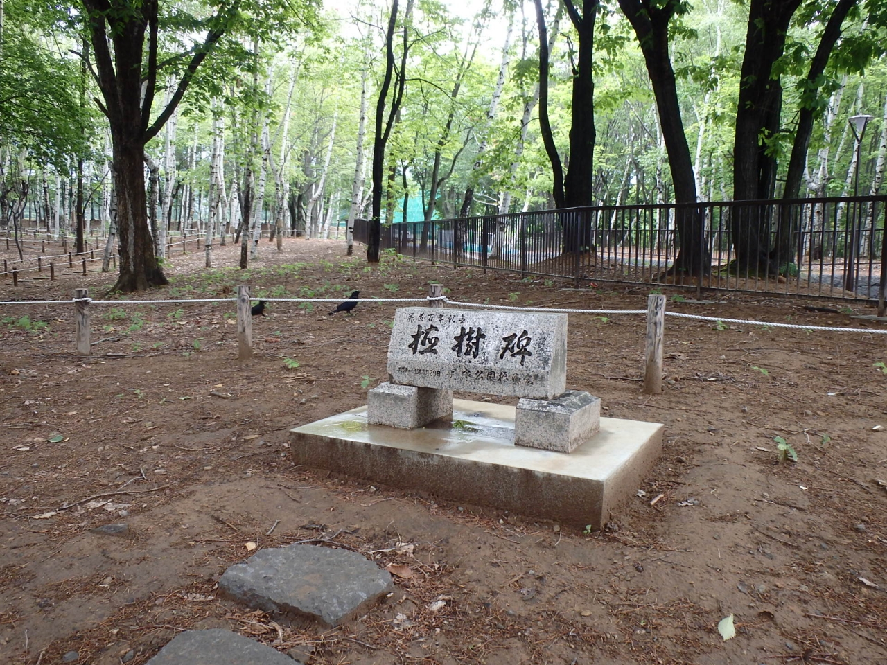 開道百年記念植樹碑の写真